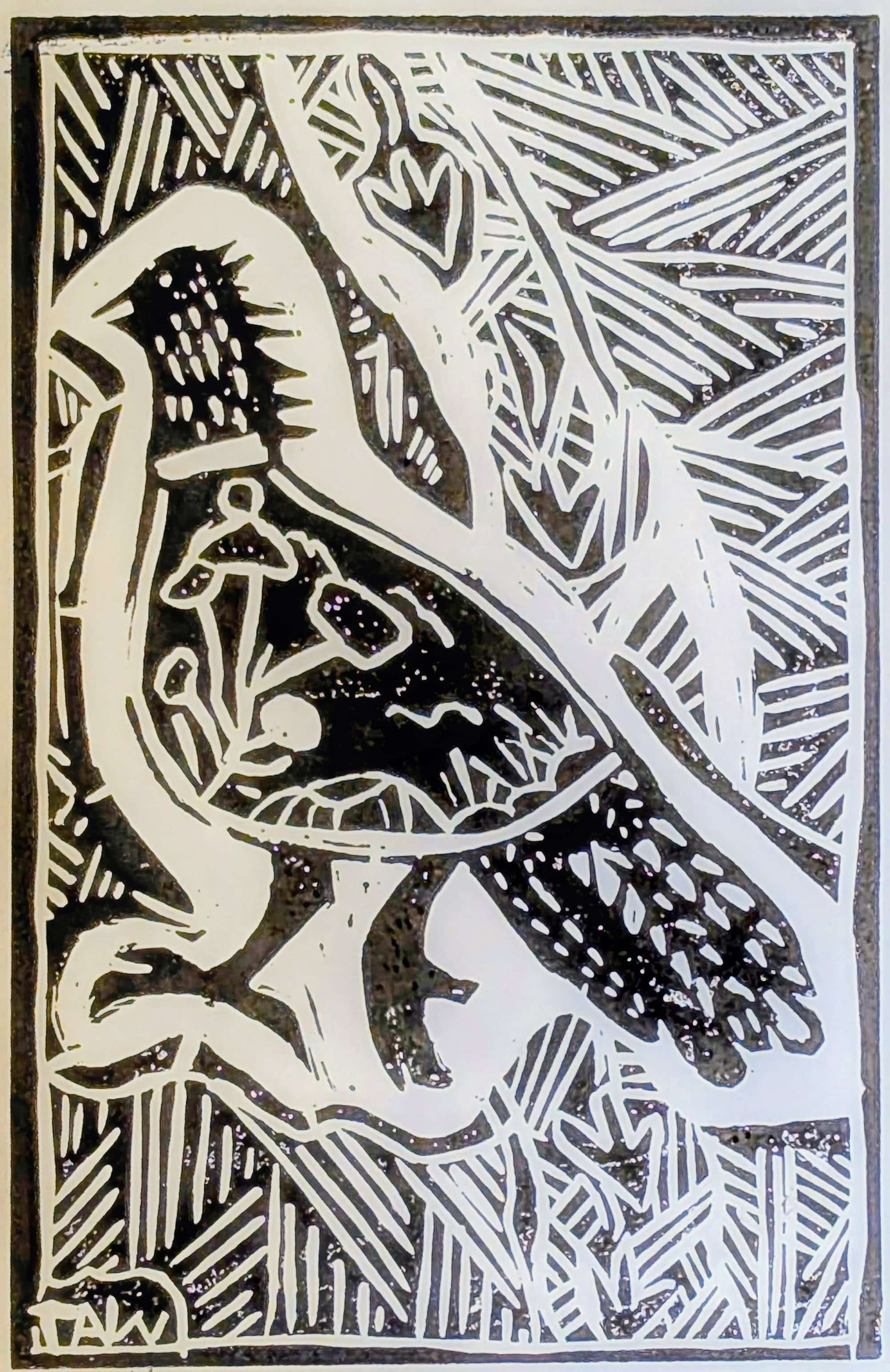 Mali Fowl 
